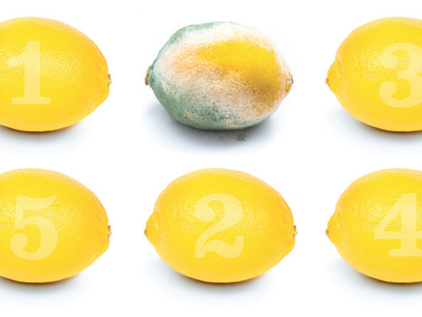 Lemons-crop2